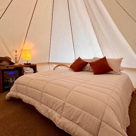 Hotel Coyote Alcocer Luaran gambar