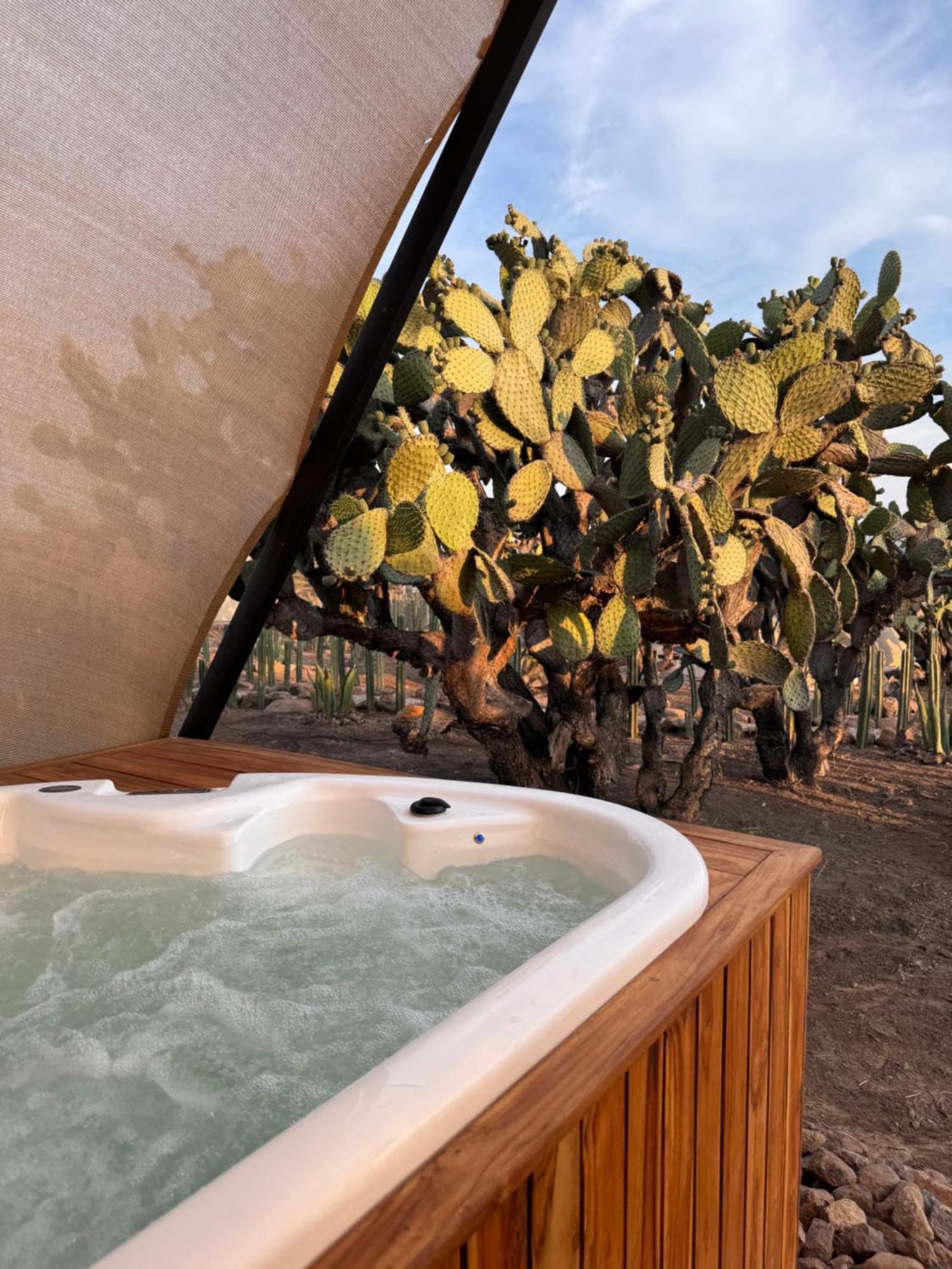 Hotel Coyote Alcocer Luaran gambar