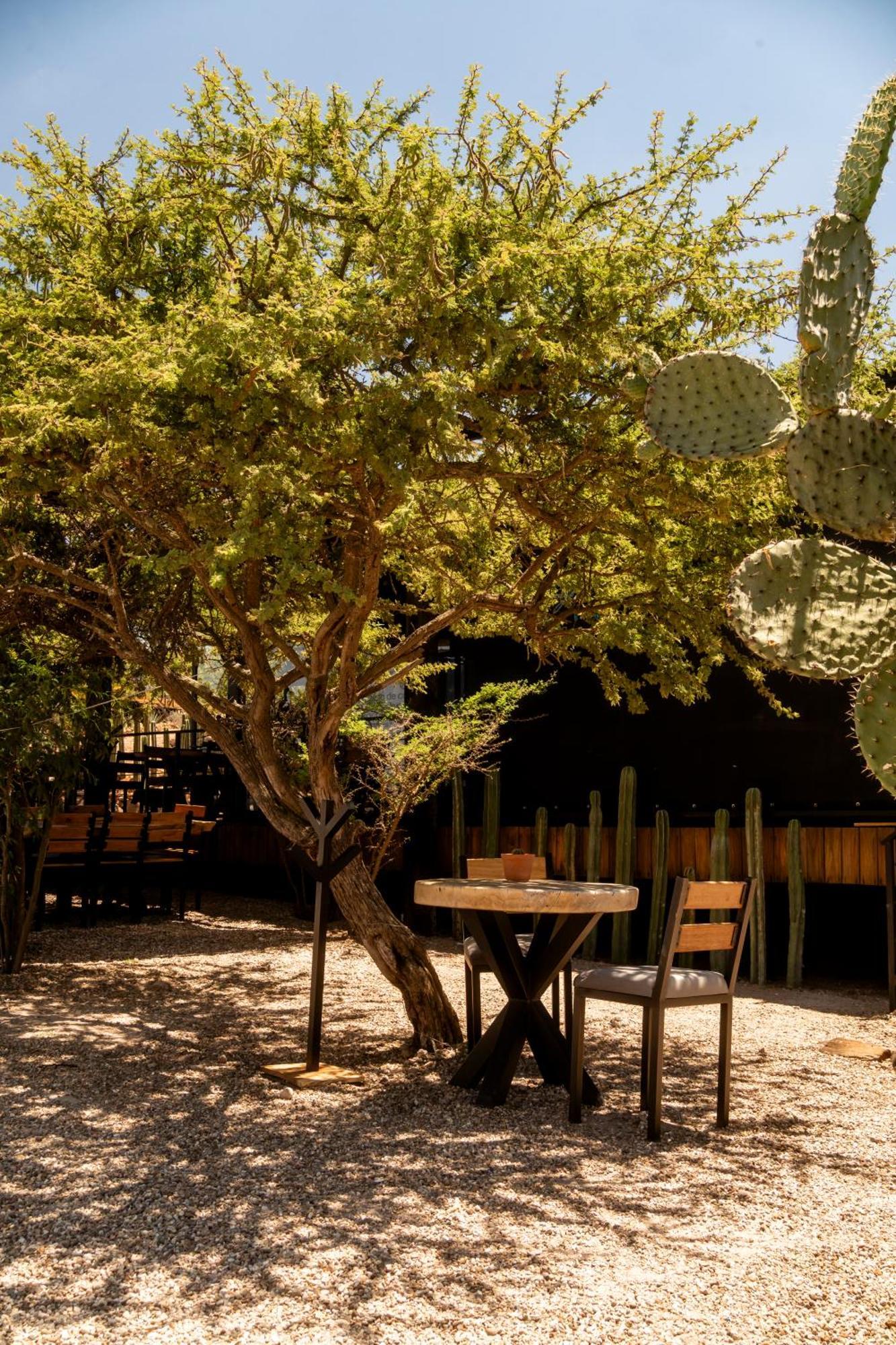 Hotel Coyote Alcocer Luaran gambar